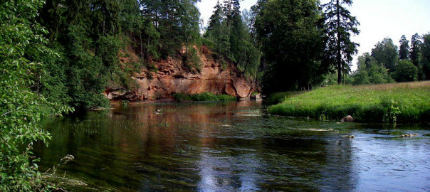 река Оредеж
